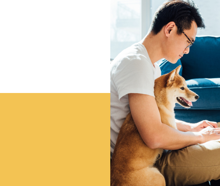 our-approach-header man working at the computer with a dog