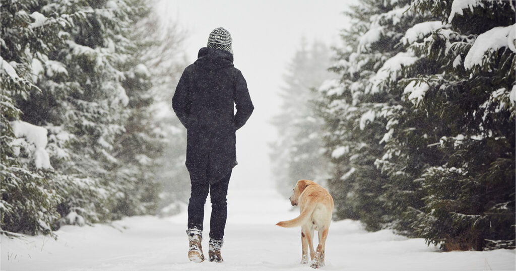 A person walks with their dog in the snow.